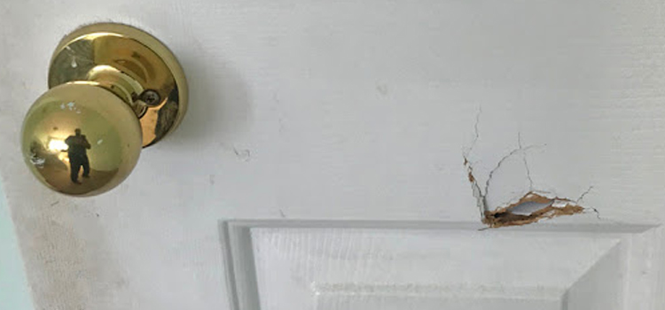 interior door hole repair Ventura